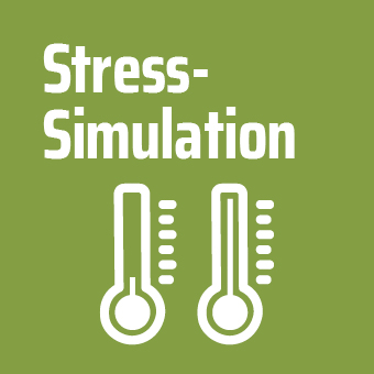 Stress-Simulation